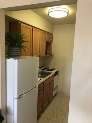 Our studio kitchens include an electric stove, sink, fridge and plenty of kitchen cabinet storage.