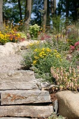 I love how the ornamental Oregano cascades over the rock.  Very inviting