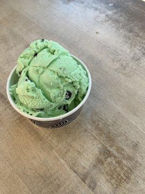 Mint Chocolate Chip Ice cream