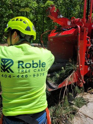 Roble Tree Care