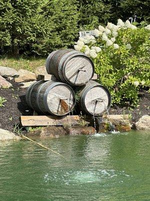 Barrels feeding their pond