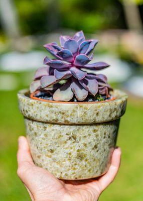 Green Marble Succulent Pot