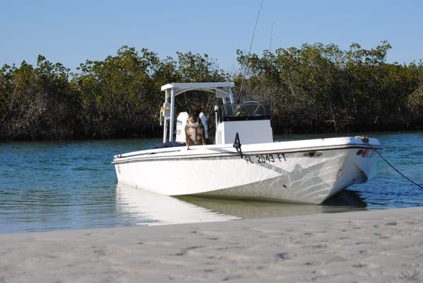 Bambu Charters