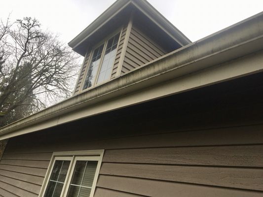 Algae and grime builds up on the outside of gutters.