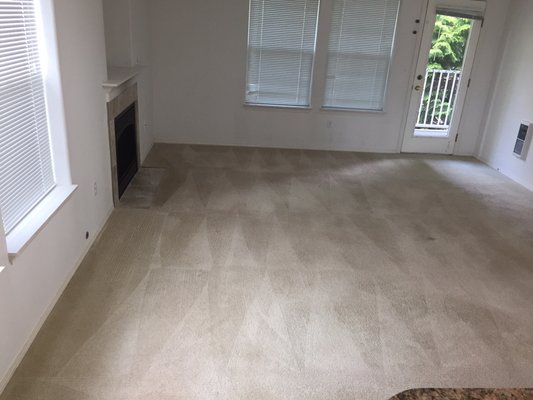 Completed carpet cleaning job in Bothell