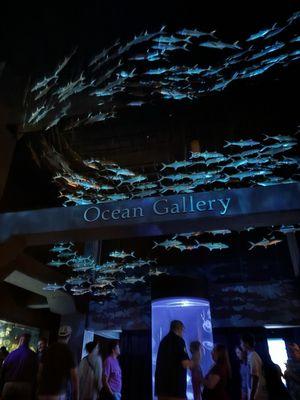 the ocean gallery entrance