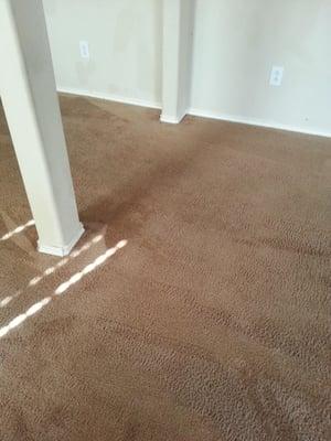 Oxi Fresh Carpet Cleaning