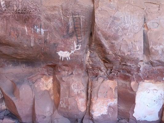 Ancient drawings on the cliff walls