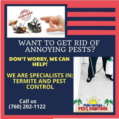 Pest Control Service. Safe and Local.