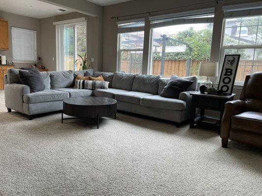 Dusted and cleaned living room