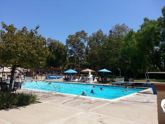 Large pool w/diving board (July 2014)