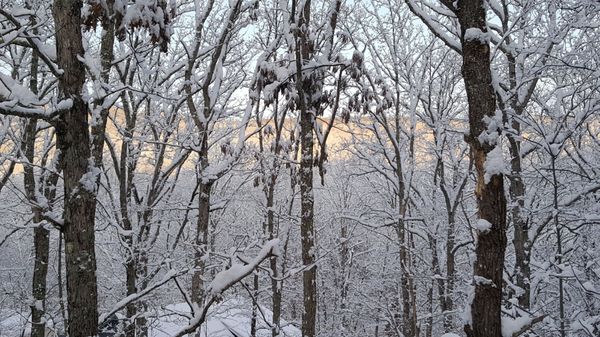 Sawcreek can be a winter wonderland