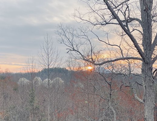 Close to Pilot Mountain State Park.