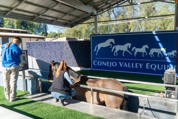 Rehab and Water Treadmill services available