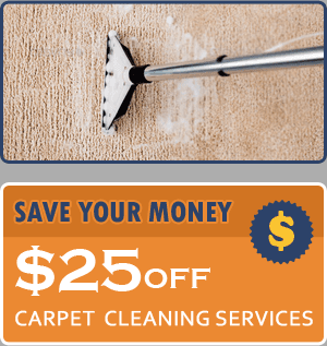 The Little Elm Carpet Cleaning