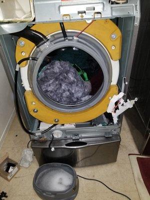 Washer Repair