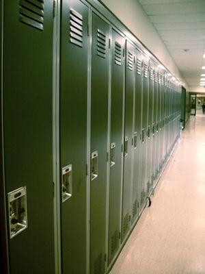 Electrostatic Painting of School Lockers.  They look brand new and much faster and less costly than replacement.  Suffolk NY