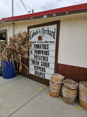 Veggie Stand