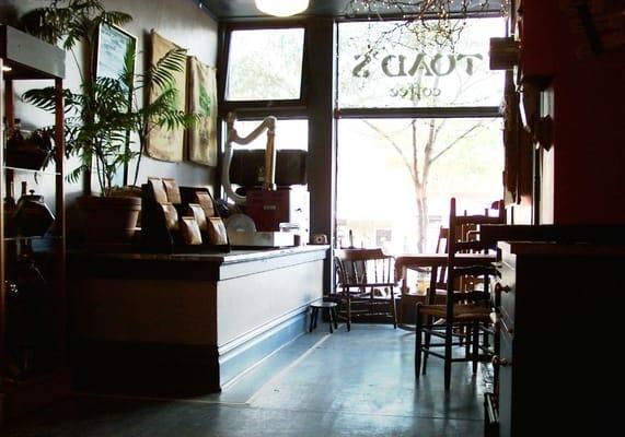 inside the toad, looking out