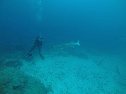 Dive trip to Raja Ampat, Indonesia