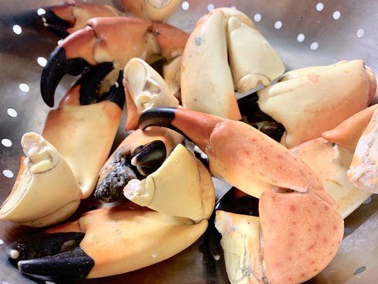 Stone Crab Claws