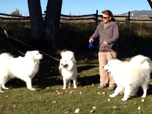 Fantastic Kennels