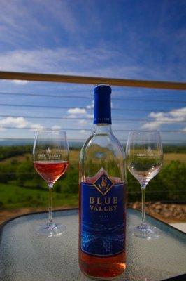 $20 savings at Blue Valley Vineyards in Delaplane, VA. Virginia Wine Pass members receive a BOGO full tastings