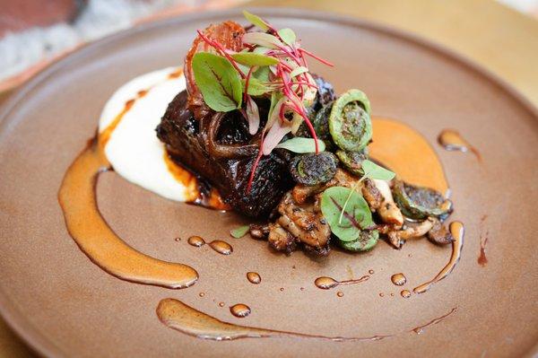 Short rib - oyster mushroom, fiddlehead ferns, spring onion, celery root puree, ponzu reduction