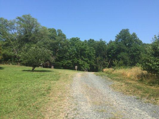 A view down the gravel driveway inside the gate