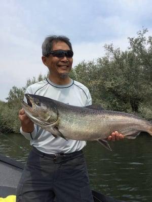 20+ pound Chinook salmon on Rogue River