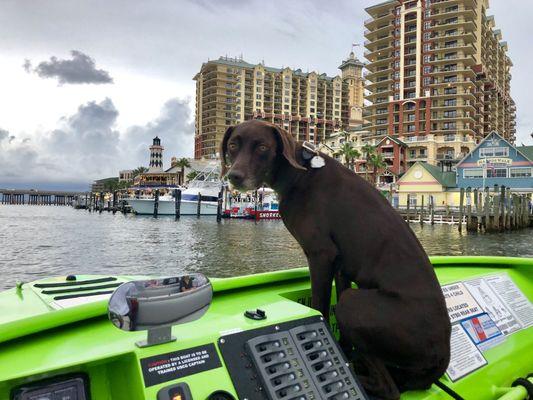 Sunset Cruises available with Greta the Seadog