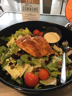 Blackened salmon salad $10 - huge portion of salmon and salad.  The bowl was easily 14" diameter!  Delicious!