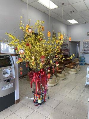 Our new Chinese New Year 2023 come and see our 8 spa chairs.