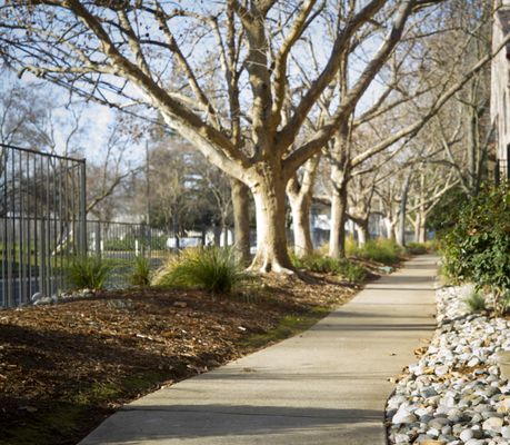 Shady walkways throughout property