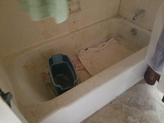 Bathtub-before