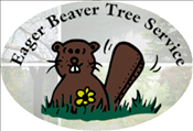 Eager Beaver Tree Service logo