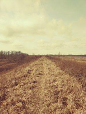 The trail along the dam ridge around what used to be the Killdeer Upground Reservoir.