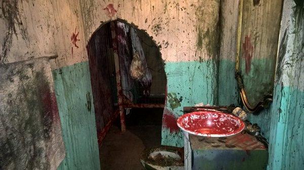 Bathroom - Desoto Asylum 2015