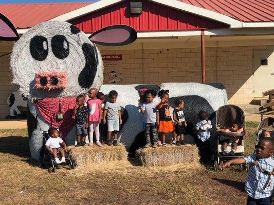 Southern Bell Farm Field Trip