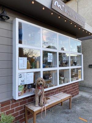 Store front. They're dog friendly!