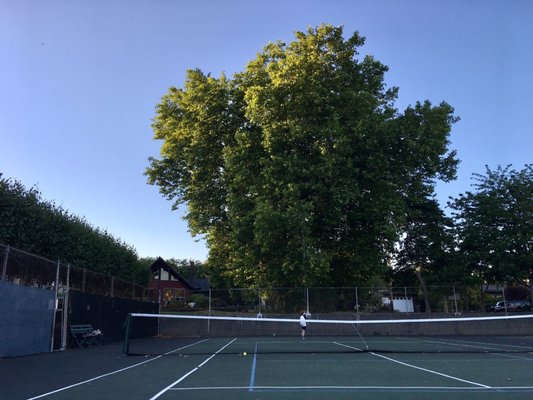 They have two tennis courts.