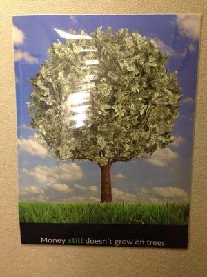 Money still doesn't grow on trees!" It does for me!! Haha