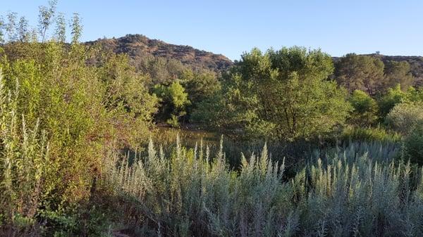 A glimpse of the lake