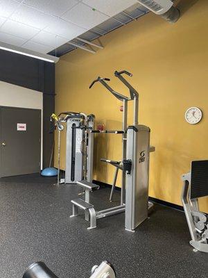 Cybex bravo cable machine and pull up assist machine.