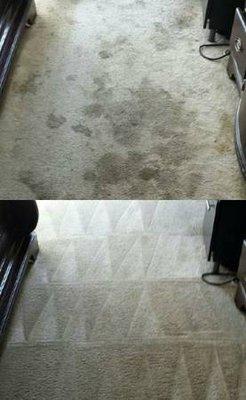 Before/After work of Rylan Carpet Solutions