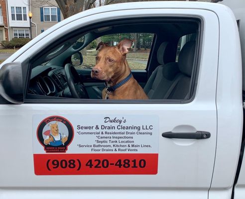 Dukey's Sewer & Drain Cleaning