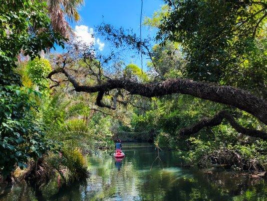 Can you see how clear the water is? Jump in for a swim. It's a great way to cool off and the water is typically an average of 3-6 feet deep.