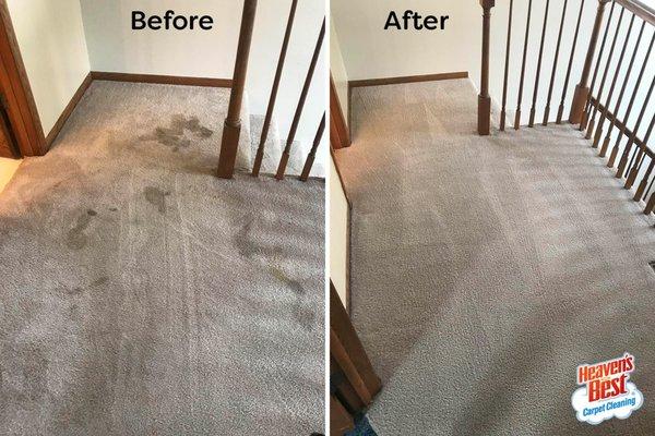 Heaven's Best Carpet Cleaning of Cody