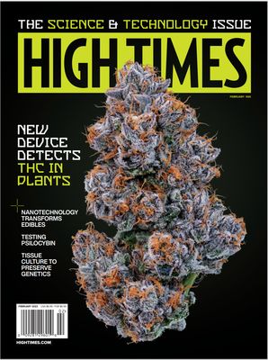 Divine Storm on the cover of the February issue of High Times