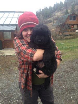 Me and my first Newfoundland Puppy!